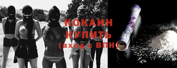 твердый Аркадак