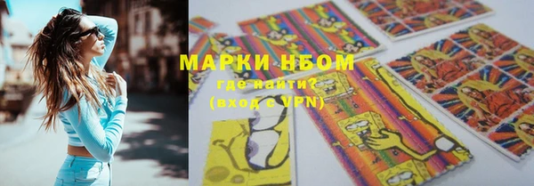 твердый Аркадак