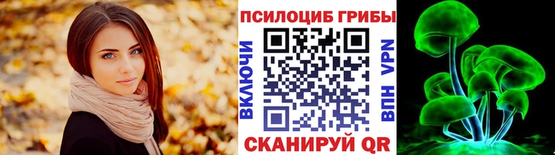 купить наркотик  Рудня  Галлюциногенные грибы Cubensis 